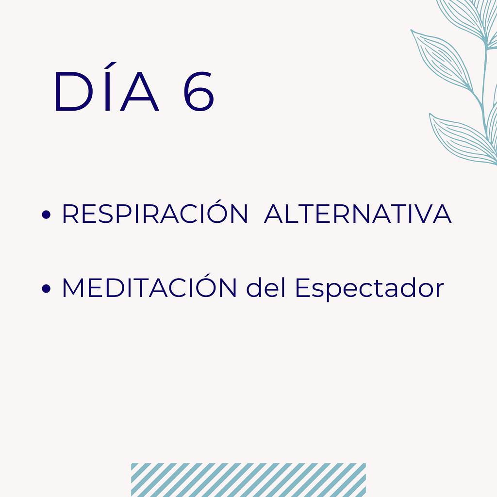 Respiration Alternativa equilibrante y meditación del espectádor