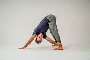 twisted Dog - postura de yoga