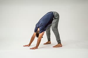 Perro boca abajo rodillas dobladas