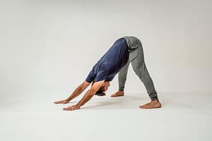 perro boca abajo ancho